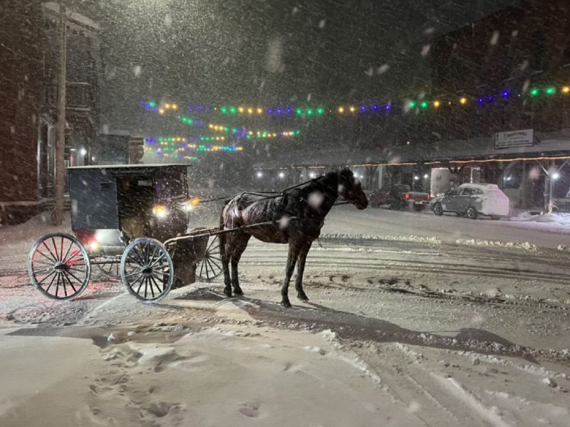 A horse and carriage on the street in winter.